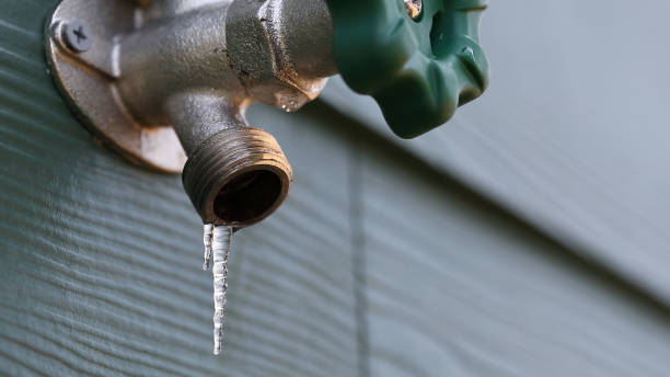Best Plumbing Inspection Services  in Home Garden, CA